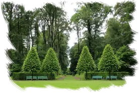 Empresa de tala y podas en altura Desbroces y jardinería